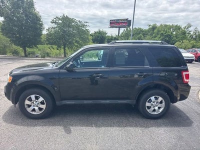 2011 Ford Escape Limited