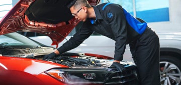 Dignifi | Volkswagen Lee's Summit in Lee's Summit MO