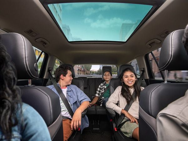 Pollen Filter Replacement